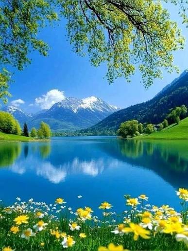 Quiet lake at sunrise